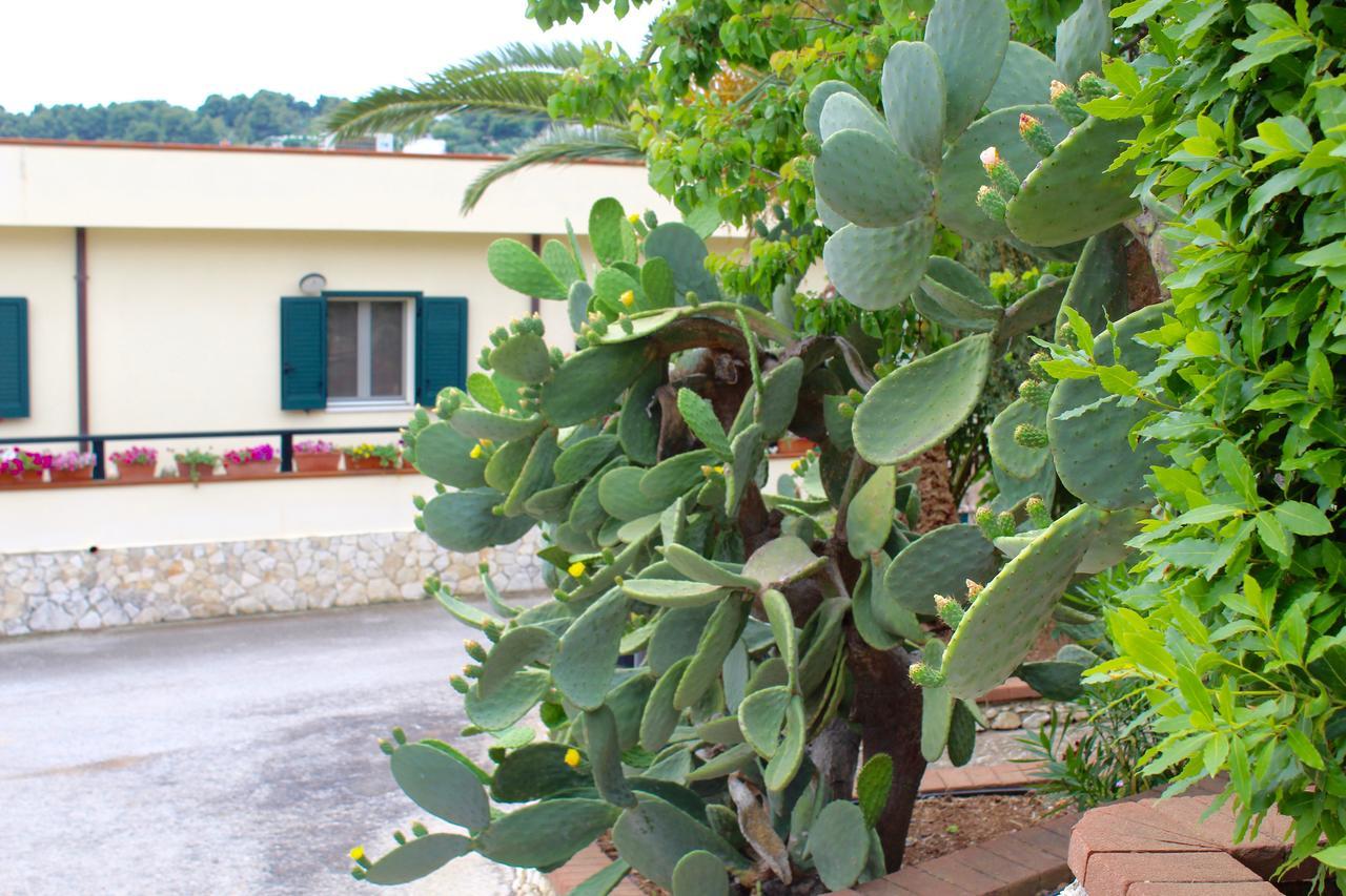 Villaggio Turistico Defensola Vieste Esterno foto
